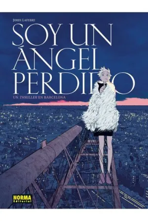 SOY UN ANGEL PERDIDO